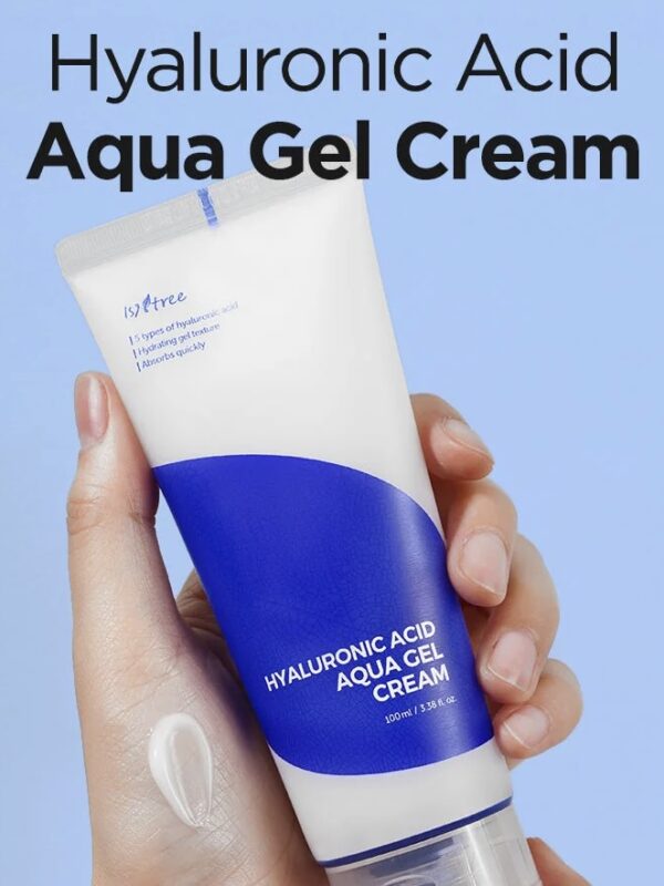 Hyaluronic Acid Aqua Gel Cream 100ml - ISNTREE