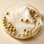 Soybean Milk Pad Set | 30 Pads - Mixsoon - Imagen 3